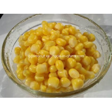 New Crop Canned Sweet Corn